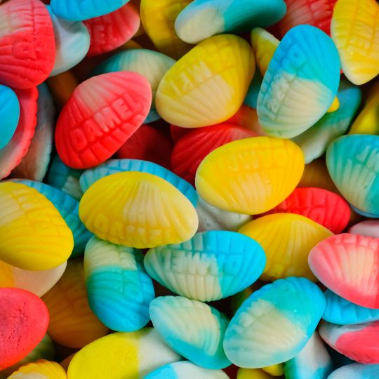 Foam Sea Shells (SPAIN)