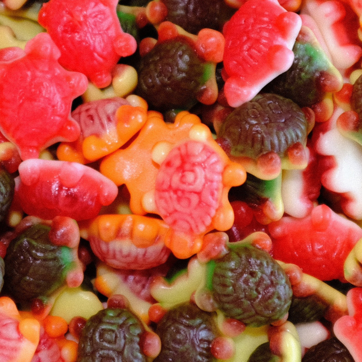 Jelly Filled Turtles