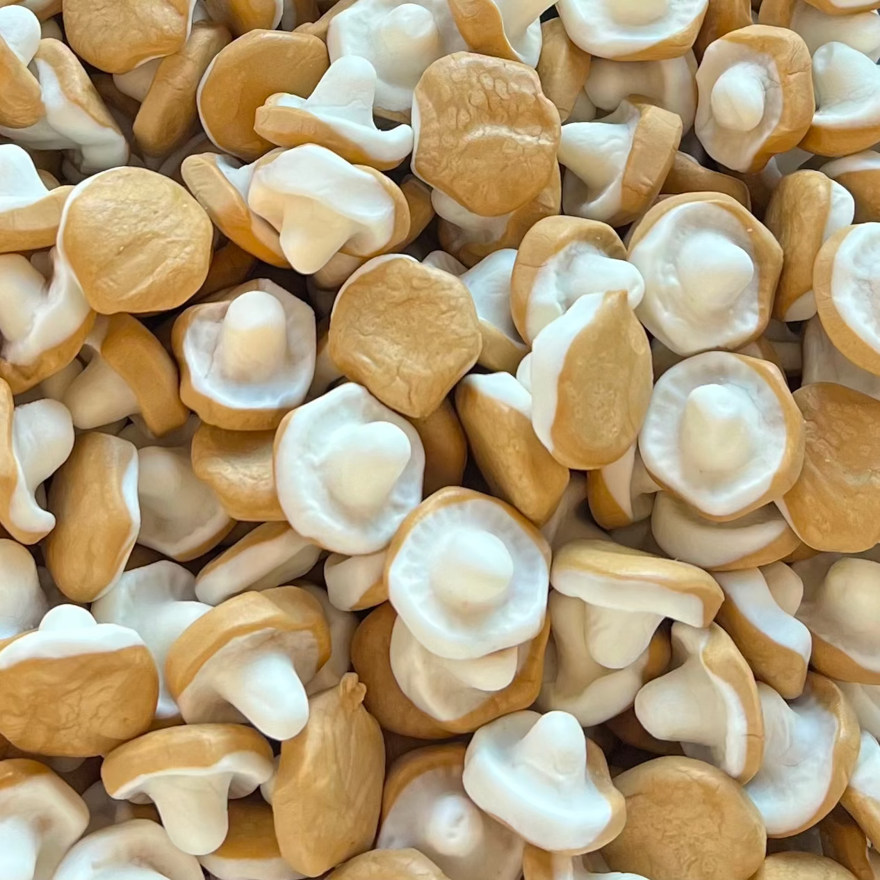 Caramel Foam Mushrooms