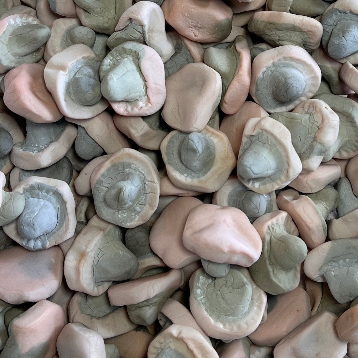 Salmiak Mushrooms
