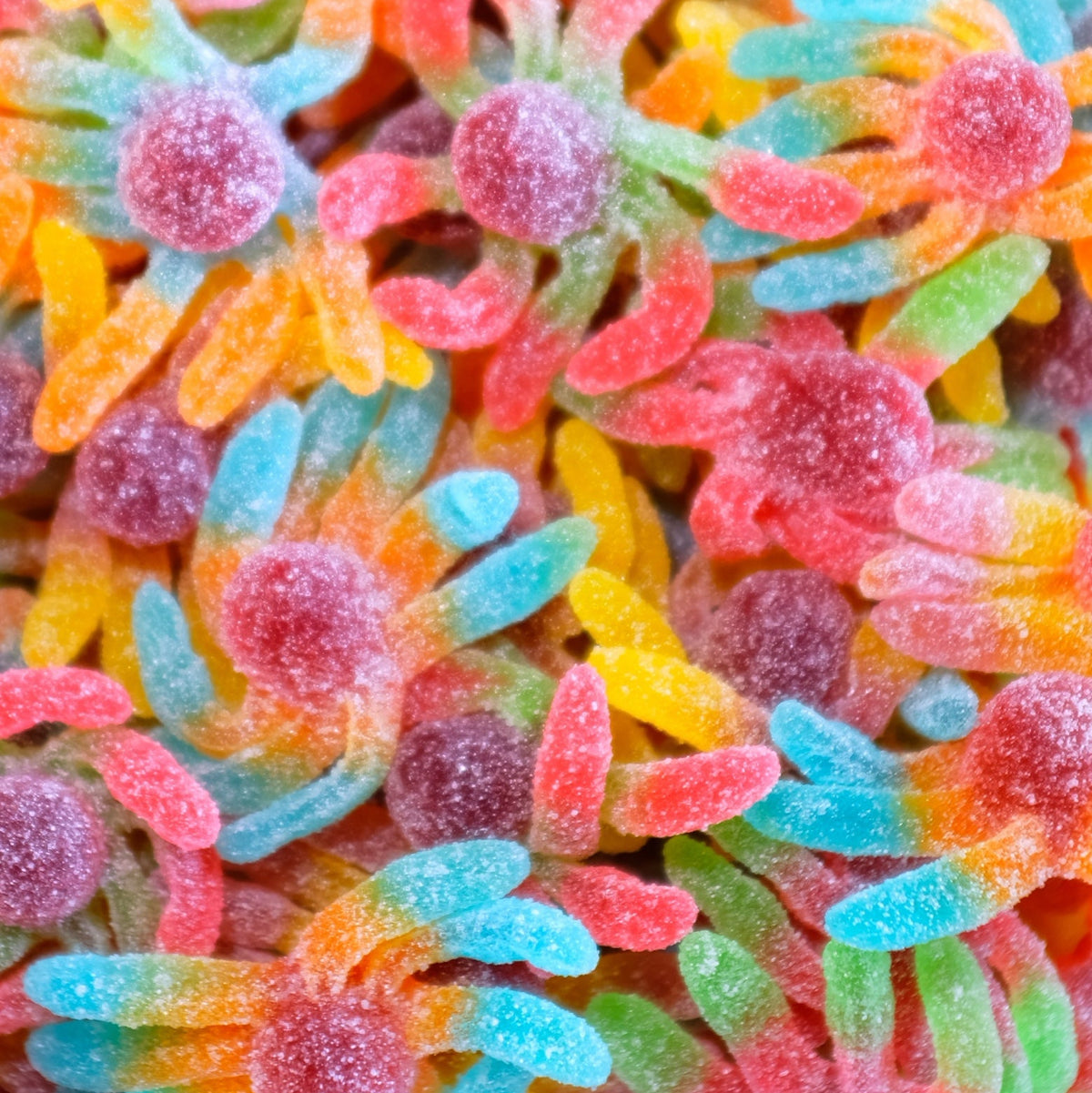 Fizzy Octopus
