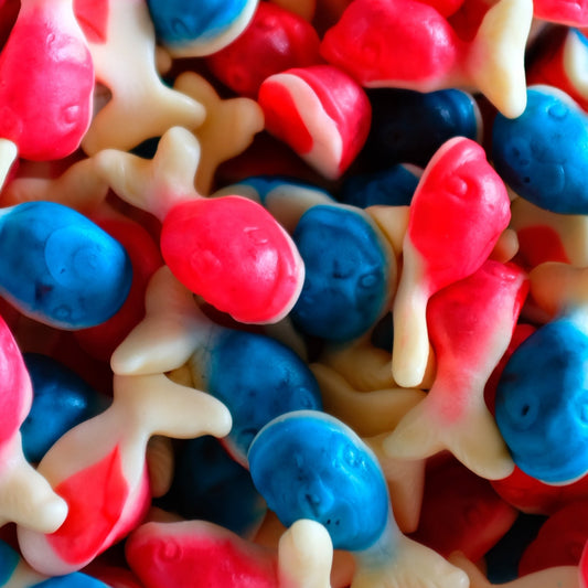 Jelly Filled Whales