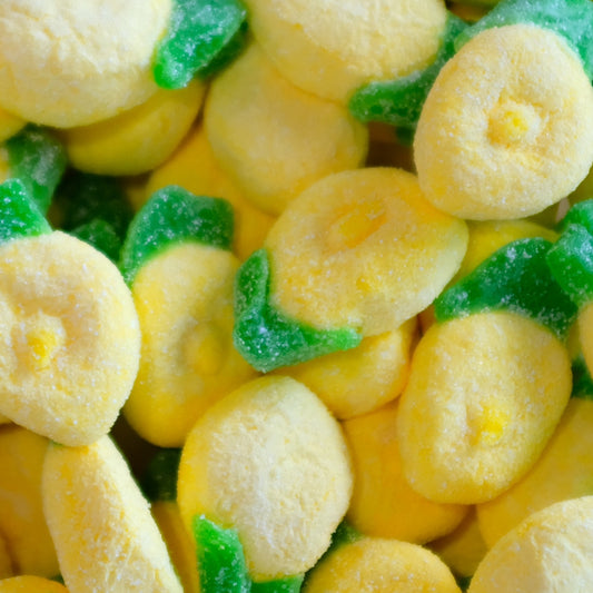 Lemon Mallow