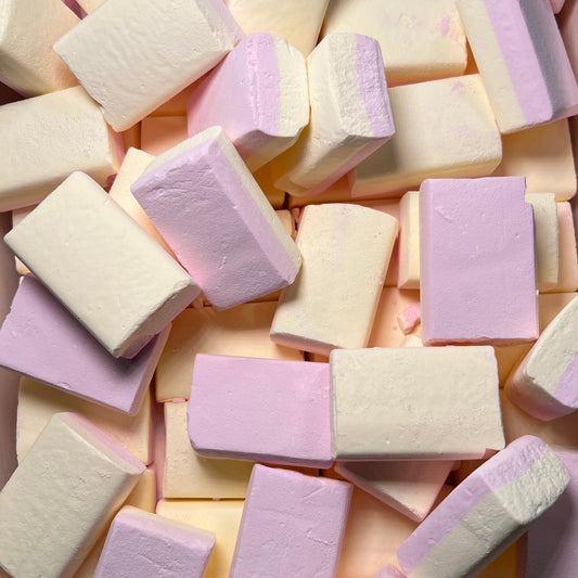 Vanilla Sherbet 'Ice' Blocks