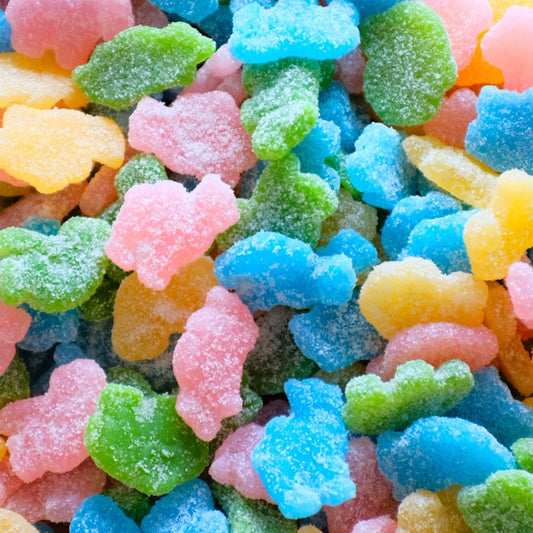 Sour Amazon Animals